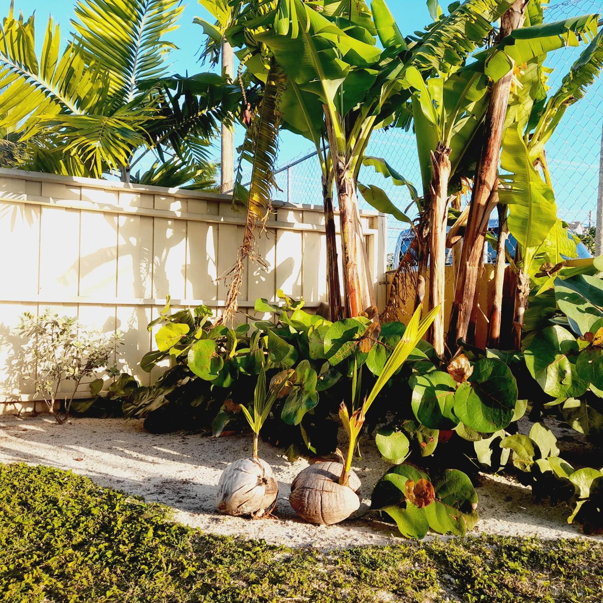 Villa By The Bay Nassau Buitenkant foto